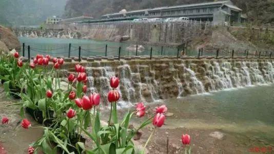 你要发信息就简单明了，要不然你发再多我也看不懂[捂脸]是不是拒绝，是否该放弃？