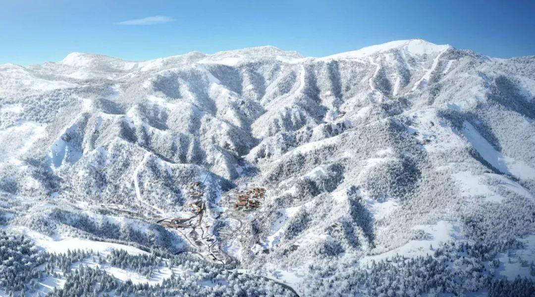 国金证券首席经济学家赵伟:雪球集中敲入风险,或已明显释放